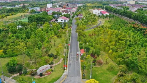 攜寵出游,隨心遛娃,在寶山這座純凈的鄉野生態園盡情歡樂