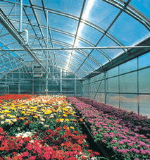 供應采光板 陽光板玻璃鋼復合板