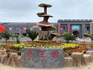 吳忠鄉(xiāng)村休閑游路線攻略