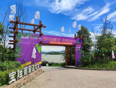 把課堂搬到泥土里，龍泉驛生態園打造校外勞動教育基地