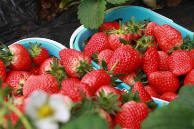 放假了，一定要去生態園的6個理由！