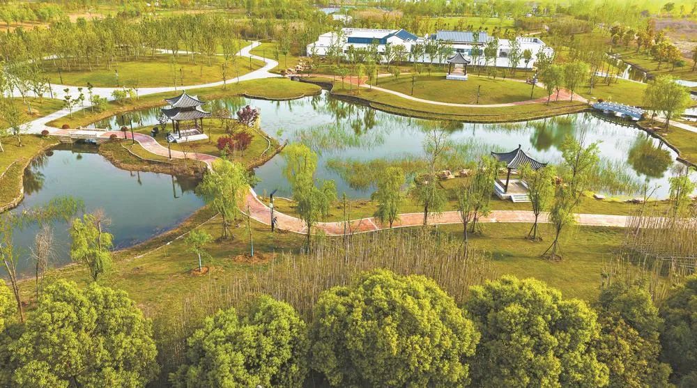魚(yú)梁洲中央生態(tài)公園 城市綠肺煥新顏，生態(tài)園即將盛大啟幕
