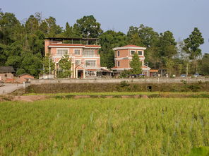 百信農業生態園 打造百姓信任的生態家園