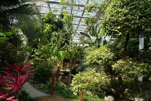 太倉鷺園濕地生態園 城市綠肺與自然交響的詩意棲居